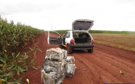 DENARC apreende 207 quilos de maconha em São Miguel do Iguaçu