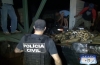Policia Civil 1200 Kg de maconha, fuzil e munições em uma transportadora