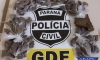 POLICIA CIVIL DE FOZ APREENDE ADOLESCENTE NO BAIRRO MORUMBI